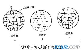 潤滑脂的組成